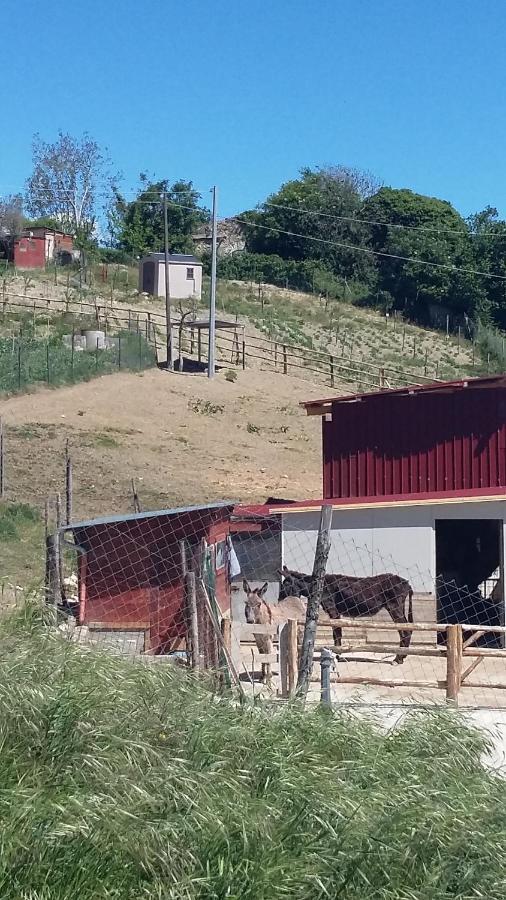 Alla Contrada Degli Asinelli Colle d'Anchise Eksteriør bilde